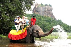 Elephant ride