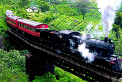 Trains