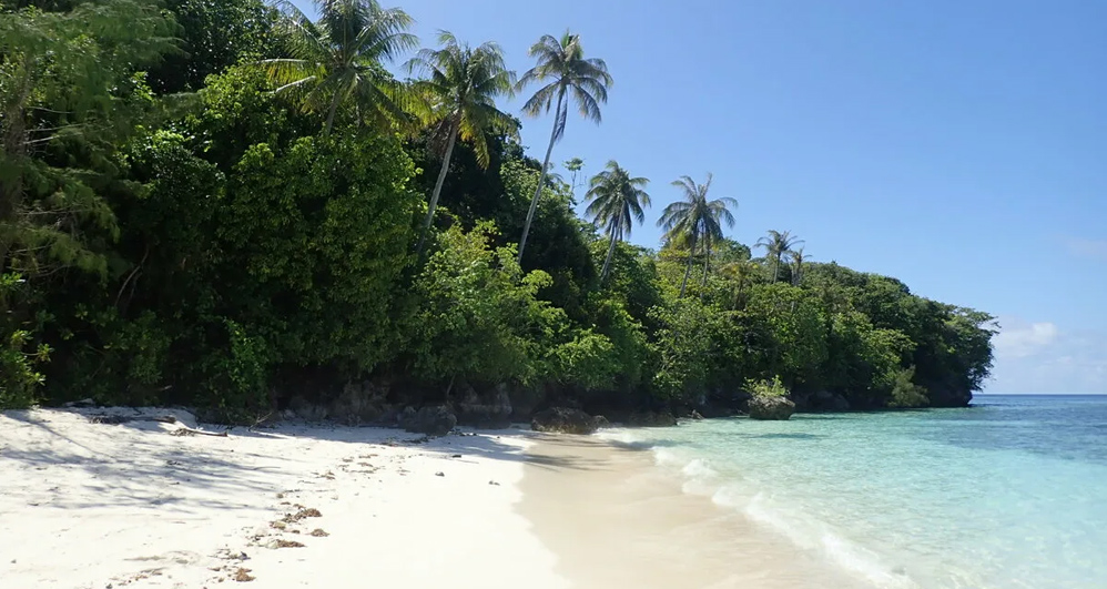 Night on a desert island