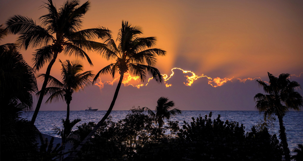 Night on a desert island